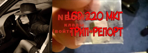 шишки Алексеевка