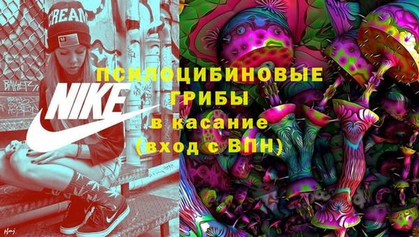 шишки Алексеевка