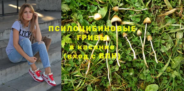 шишки Алексеевка
