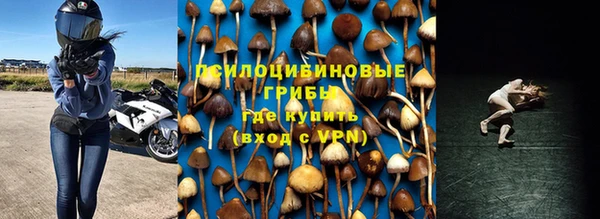 шишки Алексеевка